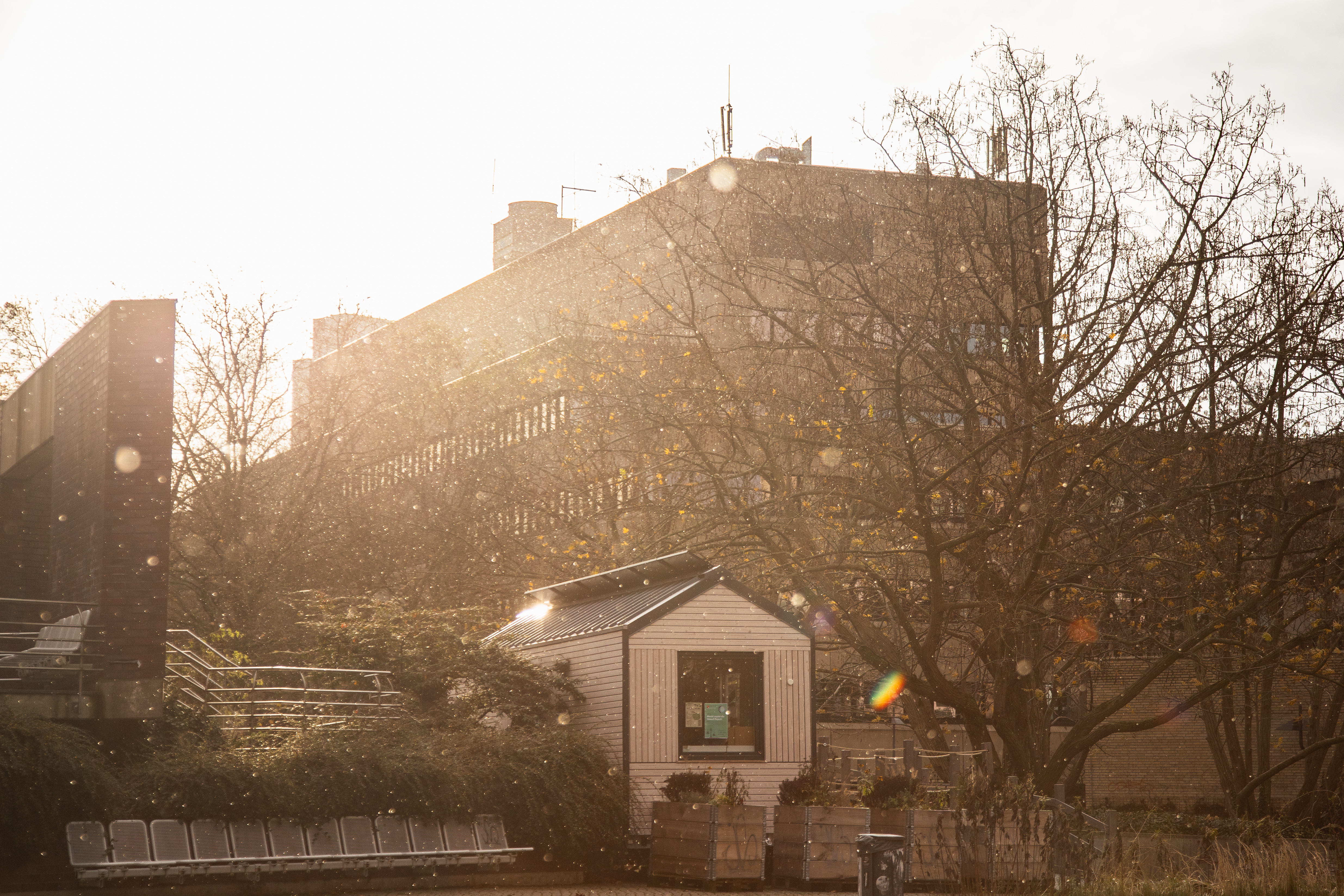 Winterstimmung beim Tiny House
