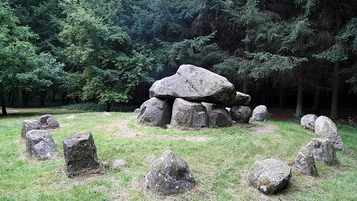 Das Foto zeigt ein jungsteinzeitliches Grab aus großen Steinen in einem Wald. Die Anlage besteht aus mehreren aufrecht stehenden Findlingen als Wände und einem horizontalen Deckstein.