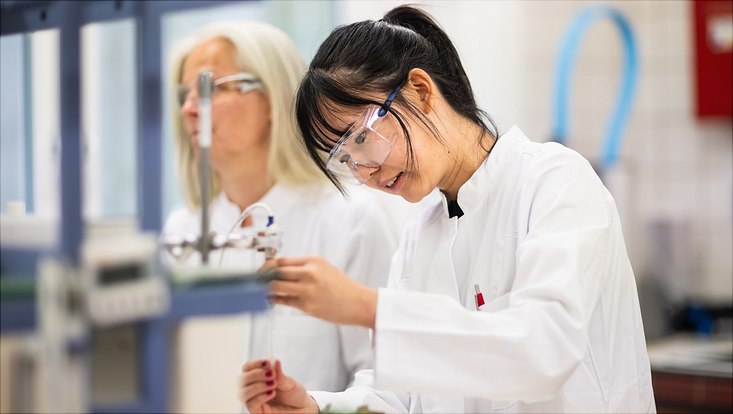 Studierende pipettieren im Labor.